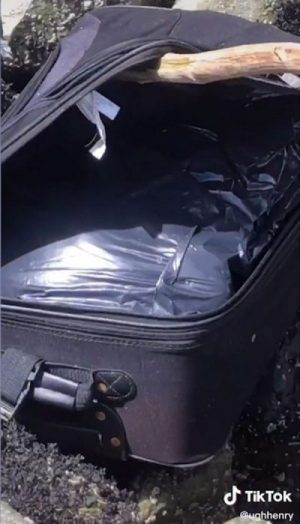 Teens On TikTok Discover Suitcase Stuffed With Human Remains > Granite ...